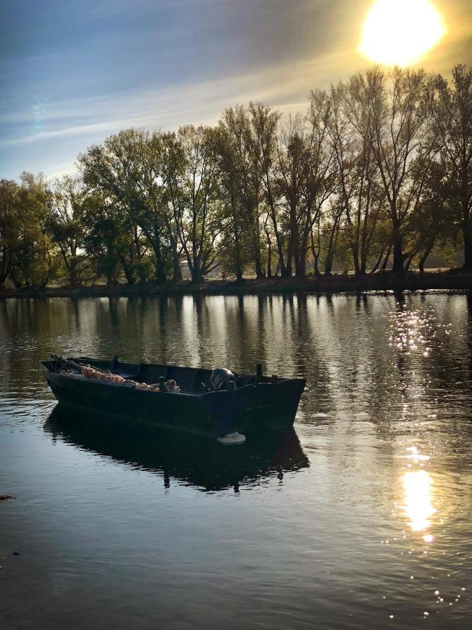 Au Canon - Parking Gratuit - Bords De Loire Орлеан Екстериор снимка